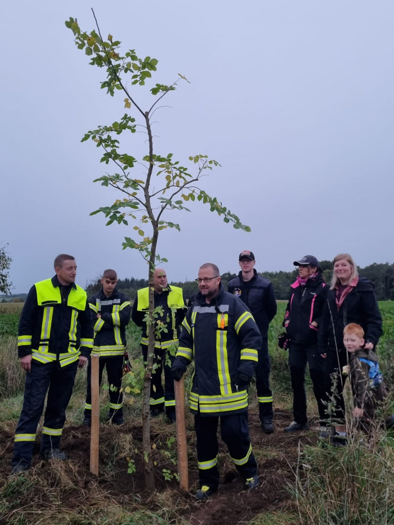 Feuerwehr Zemmer stellt sich der Baumpflanz-Challenge 
